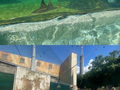 -新加坡水上探险乐园