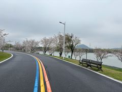 -羊山湖公园