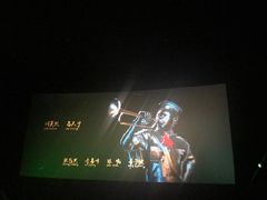 -AMG海上明珠影城(上海环球港RealDCinema店)