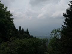 -大围山国家森林公园