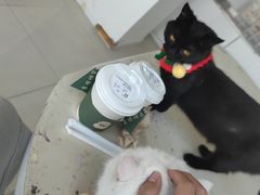 -怪兽屋·羊驼·猫咖·狗咖(俊华广场店)