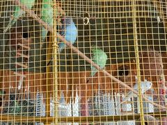 -北京鹿世界主题园