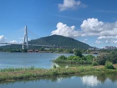 -芒洲湿地公园