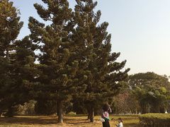 -福建鲤鱼洲酒店