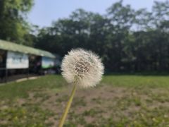 -草根堂农场