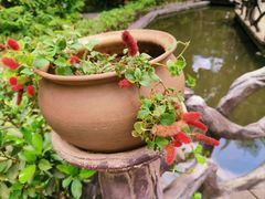 -西双版纳傣族园