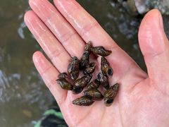 -北仑森林植物园