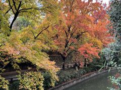 -杭州市第三人民医院