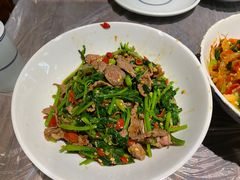 -壹盏灯(惠农店)