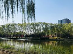 -大兴滨河森林公园