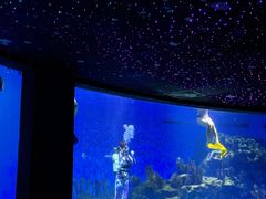 -海合安武汉极地海洋公园