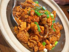 -鸽子窝(青塔店)