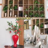 周末觅食记➡️上莲花岛吃2021的第一只螃蟹🦀️