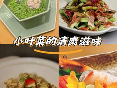 -淮食·雅宴(北大博雅国际酒店)
