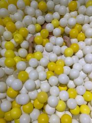 -宝燕乐园(闵行旗舰店)