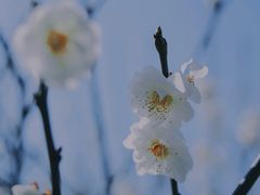 -碑林公园