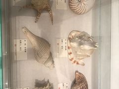 -广东省方志馆