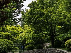 -北坞公园