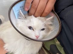 -喜多萌中农锦绣动物医院24H·猫科·牙科MRI·CT