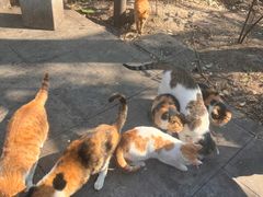 -敬亭山风景名胜区