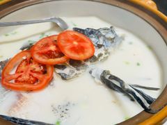 -全乐鱼馆·淳牌有机鱼直营店
