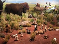 -陕西自然博物馆