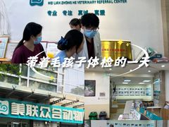-美联众合动物医院·24h转诊中心