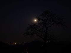 -西湖风景区十里琅珰-五云山