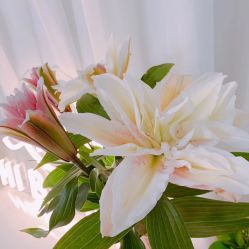 -Hi Beauty Skin 科技美肤中心
