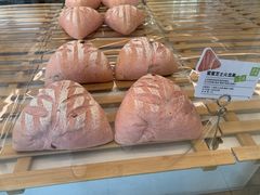 蜜蜜芝士火龙果-奈雪的茶(观前街店)