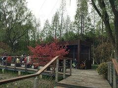 -昆山城市生态森林公园