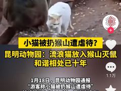 -昆明动物园