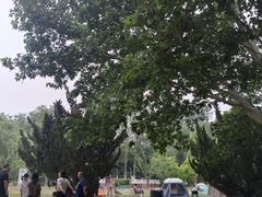 -朝阳公园游乐园