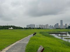 -洋湖国家湿地公园