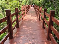 -广州白江湖森林公园