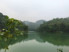 -中山市树木园