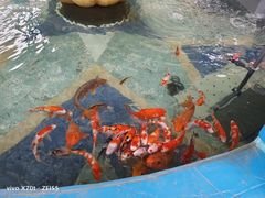 -蓬莱欧乐堡梦幻世界