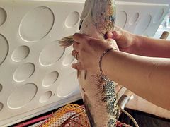 -金三可市井水煮鱼(金碧园店)