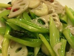 青菜-大谊园