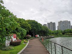 -南翔镇银翔湖公园