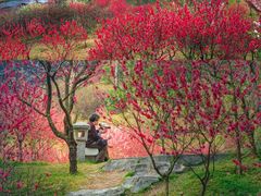 -桃花涧