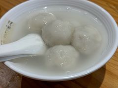 -海丝金凤(金鱼店)