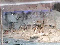 -帝企鹅自助餐厅•儿童岛•真企鹅(长隆企鹅酒店)