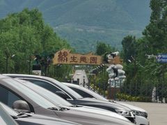 -娲皇宫