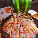 生日半价自助餐推荐-水濑【绝对吃回本】