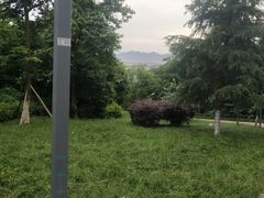 -金海湾滨江公园