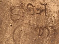 -尼甘布海鲜市场