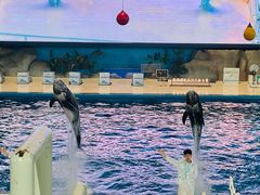 -泉城欧乐堡海洋极地世界