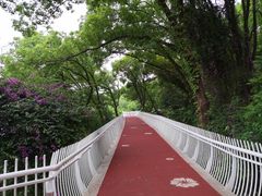 -金鸡山公园