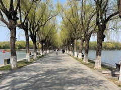 -北陵公园